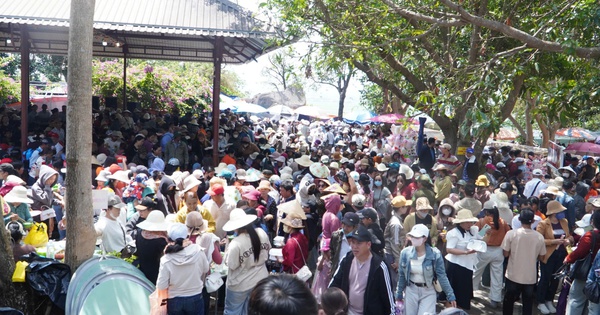 Gia Lai lên kịch bản 'vỡ trận' trước thềm khai mạc Năm du lịch Quốc gia