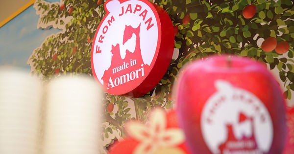 Táo Aomori và chiến lược bền vững hơn một thập kỷ tại Việt Nam