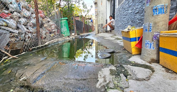 Cả hẻm ở TP.HCM ngập nước hôi vì 3 hộ xả thải: Sẽ lắp cống tạm