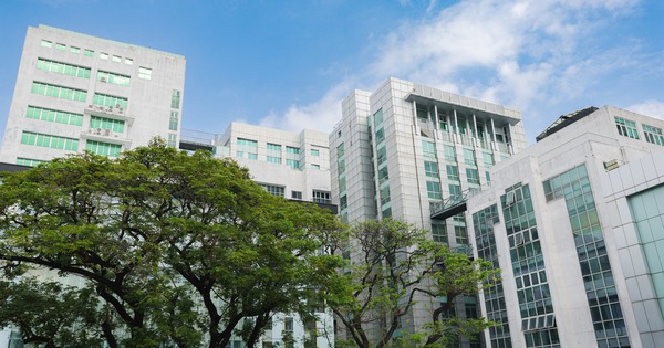 Việt Nam có thêm 5 trường vào bảng xếp hạng ĐH thế giới theo nhóm ngành