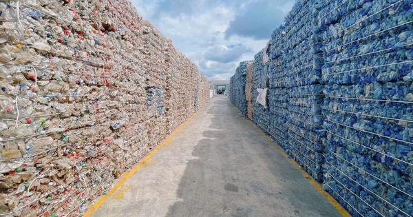 Xuất khẩu vào EU lại khó vì bao bì