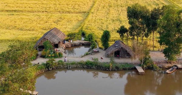 Ngôi nhà giữa đồng lúa đẹp như tranh ở TP.HCM, phía sau là chuyện tình xúc động