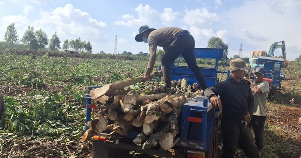 Đẩy nhanh tiến độ giải phóng mặt bằng dự án cao tốc Quy Nhơn - Pleiku