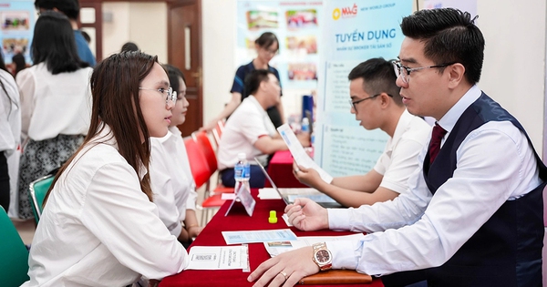 Chọn nghề kiểu gen Z: Hết thời “rập khuôn”