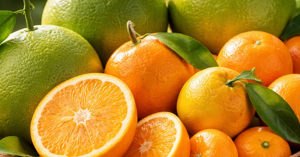 Cam, quýt và bưởi: Loại nào tốt cho hệ miễn dịch hơn?