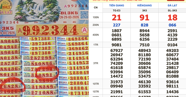 Xổ số miền Nam ngày 29 tháng 3: Bất ngờ người trúng 14 tờ đài Đà Lạt