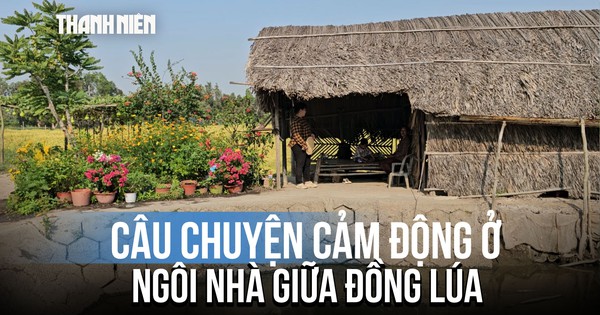 Câu chuyện cảm động phía sau ngôi nhà giữa đồng lúa đẹp như tranh