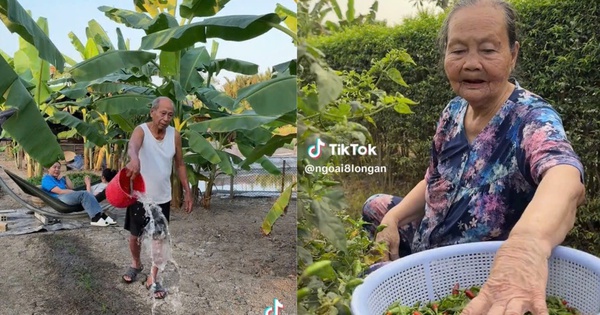 'Quyển nhật ký online' về ông bà ngoại U.90