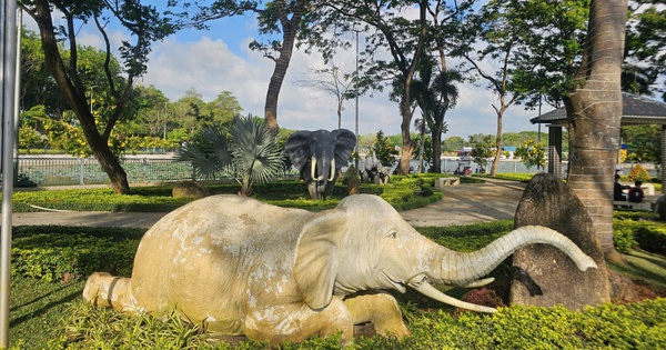 Bàu Thành: Dấu tích cổ ở Nam bộ từng là nơi huấn luyện voi chiến