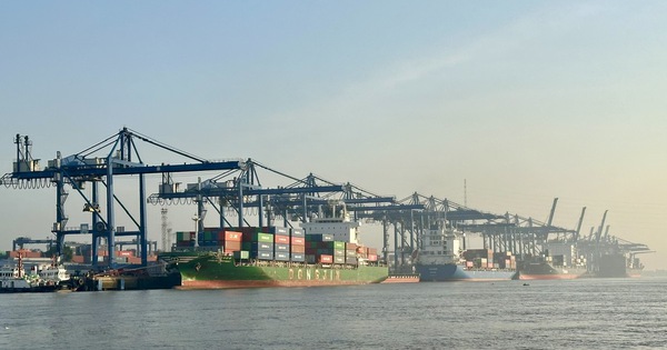 Cước tàu biển tăng thêm 4.000 USD, nhiều tuyến tạm ngưng