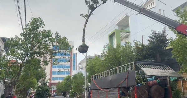 Lâm Đồng: Xe tải gắn cẩu va vào lưới điện 3 pha, tài xế tử vong