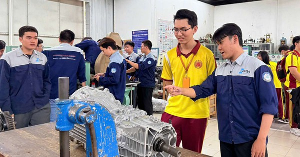 Học sinh định vị bản thân qua hướng nghiệp xuyên suốt từ lớp 9 đến 12