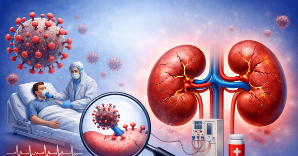 Nghiên cứu mới: Nhiễm Covid-19 có thể làm tăng nguy cơ mắc bệnh thận