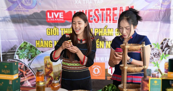 'Lên sóng' giữa đại ngàn