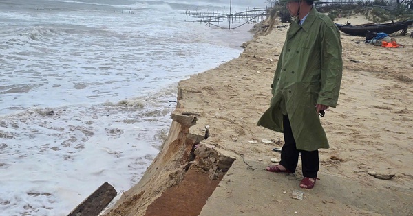 Triều cường dâng cao, bờ biển Mỹ Thủy sạt lở nghiêm trọng
