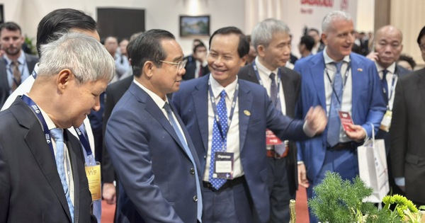 Xuất khẩu đồ gỗ Việt chuyển từ gia công sang có thương hiệu