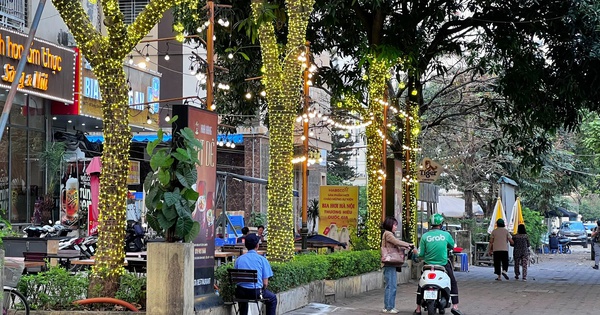 Cận cảnh cây xanh 'gánh' đèn trang trí, biển hiệu ở Hà Nội