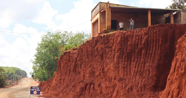 Bài học từ 3 cây sộp