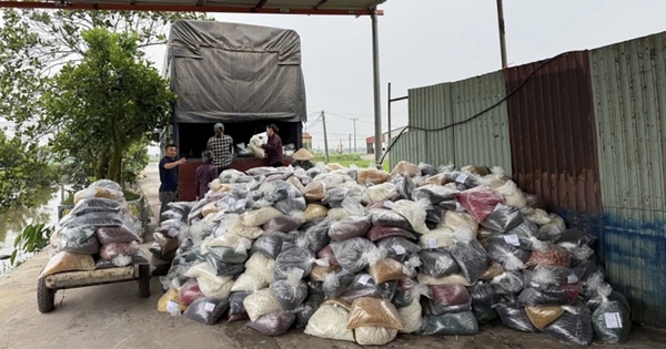 Cựu Phó cục trưởng Hải quan bị cấp dưới ‘ăn bớt’ tiền hối lộ