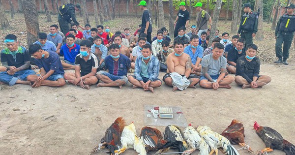 Công an TP.HCM triệt phá sới gà, khởi tố 22 người