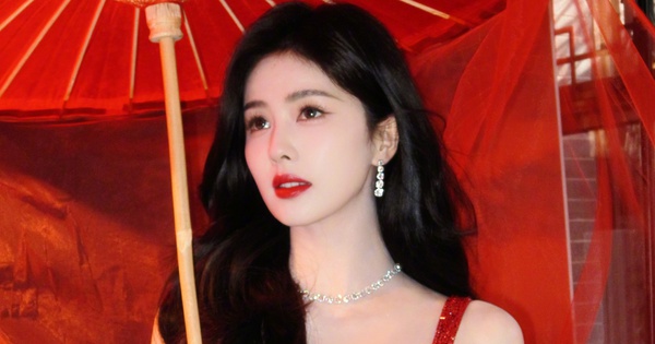 Bạch Lộc mắc bệnh mãn tính do làm việc quá sức