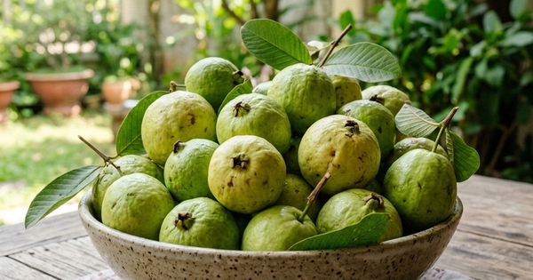 Ít ai ngờ loại quả này lại tốt cho đường huyết và mỡ máu