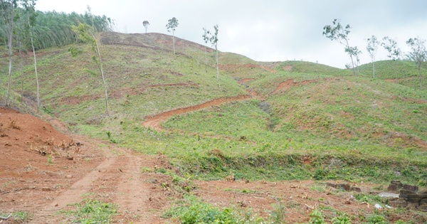 Truông Mây lưu dấu cuộc khởi nghĩa Chàng Lía