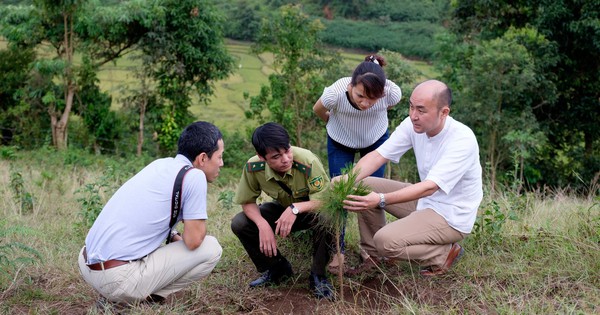 Việt Nam thu thêm gần 72 triệu USD nhờ 'bán không khí sạch'
