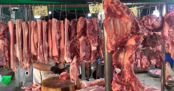 Giá heo hơi hôm nay 1.4.2026: Diễn biến trái chiều