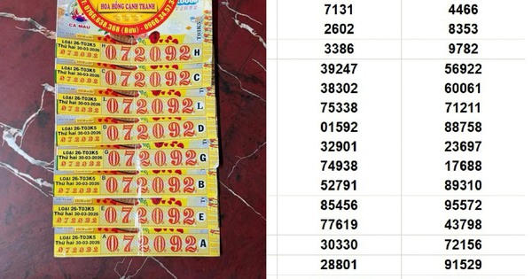 Về quê mua 10 tờ xổ số miền Nam: Trúng độc đắc, chia cho anh em ruột