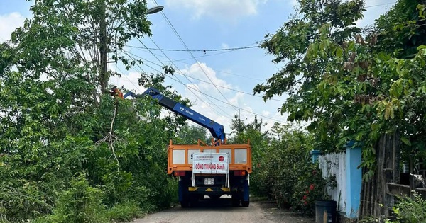 Phát quang để đảm bảo an toàn điện