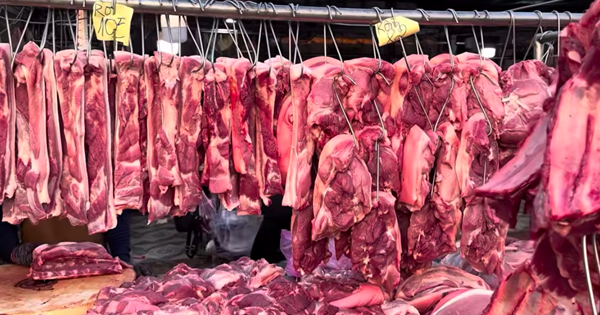 Giá heo hơi hôm nay 10.4.2026: Chững lại vì sức mua thấp