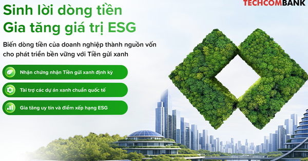 Techcombank Ra Mắt Tiền Gửi Xanh, Định Hình Làn Sóng Tài Chính Bền Vững Cho Doanh Nghiệp