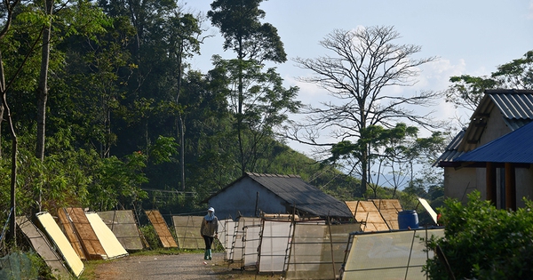 Giấy giang Pà Cò, khi hồn rừng về phố thị