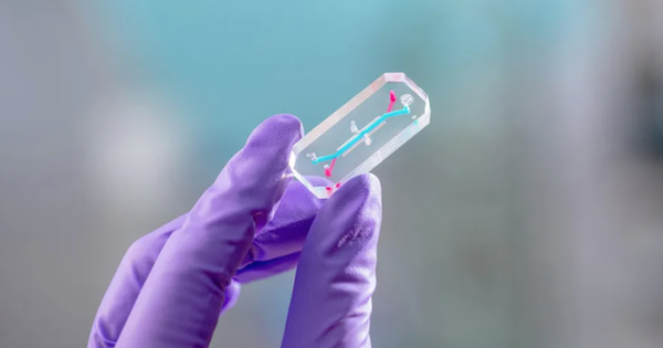 Thí nghiệm trên người ở Artemis 2 cho những chuyến đi xa hơn vào vũ trụ