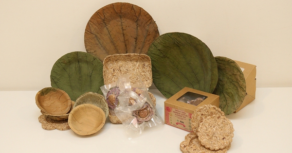 Bao bì sinh học từ lục bình: Giải pháp khởi nghiệp của nhóm sinh viên Cần Thơ