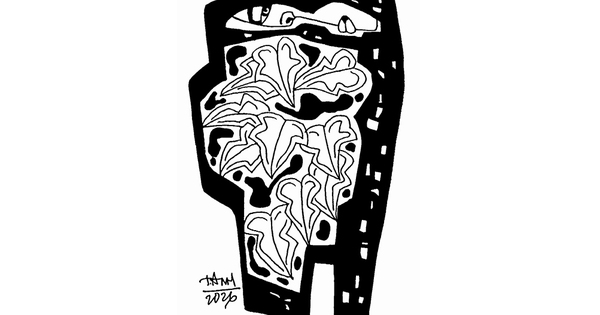 Thường xuân - Thơ của Mai Nhật