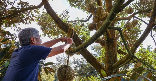 Trung Quốc, thị trường tiêu thụ lớn của Việt Nam