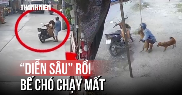Lật tẩy chiêu thức mới của trộm: 'Diễn sâu' rồi bế chó chạy mất