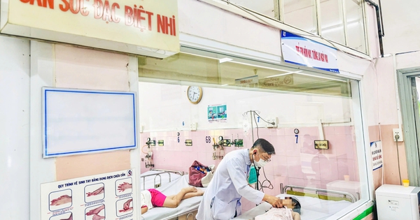 Xác định tác nhân gây ngộ độc thực phẩm đối với học sinh Trường tiểu học Bình Quới Tây TP.HCM