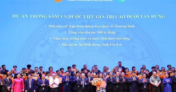 Hành trình nâng tầm Quốc bảo Sâm Việt: Bước tiến trong chuẩn hóa dược liệu Việt Nam