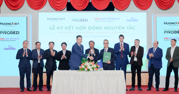 Prodezi hợp tác cùng Swiss Asia Partner SA triển khai dự án Be Milk