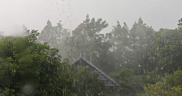 Chiều nay, mưa vàng giải nhiệt xuất hiện nhiều nơi