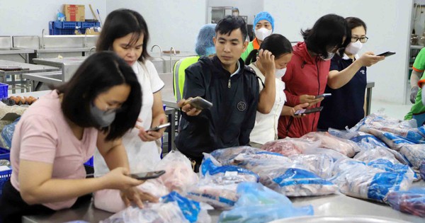 Bất an khi lựa chọn nhà thầu phục vụ bữa ăn bán trú