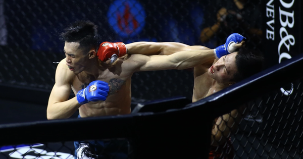 Cảnh báo nóng về website cá cược trái phép liên quan MMA tại Việt Nam

