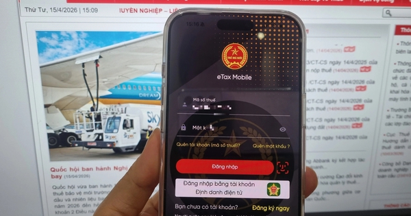 Cách xử lý khi bị khai khống thu nhập cá nhân
trên eTax Mobile