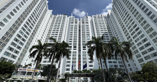 Dự án, nhà riêng lẻ bớt thủ tục, chi phí