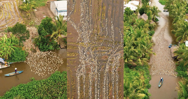 Những thước phim triệu view ghi vẻ đẹp miền Tây từ trên cao