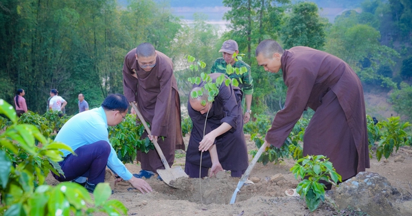 Từ TP.HCM ra Điện Biên, sư thầy mang cây xanh và ánh sáng đến vùng cao
