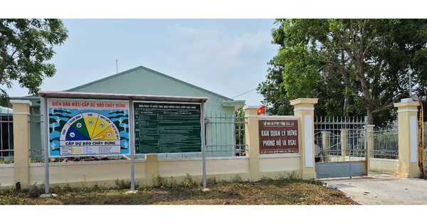 Bắt tạm giam một giám đốc ban quản lý rừng phòng hộ ở Gia Lai